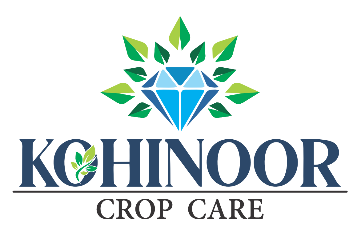 kohinoor